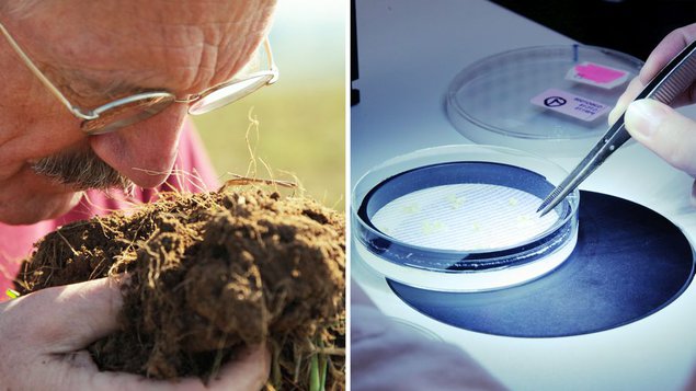 10 miliard - co máte na talíři?